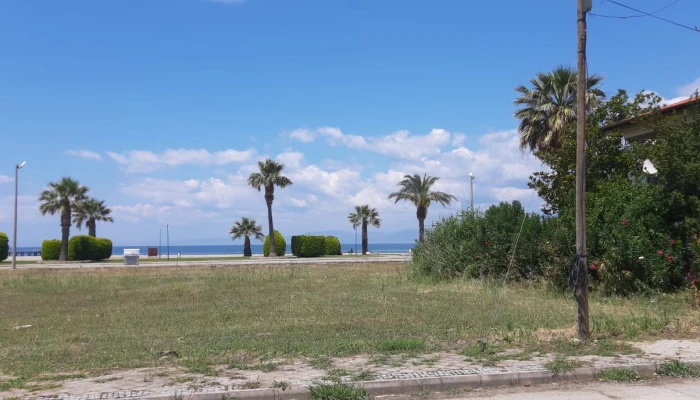 WhatsApp Image 2022-03-31 at 18.13.22.jpg