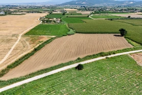 İzmir Torbalı Eğerci'de Yola Cepheli Satılık Tarla