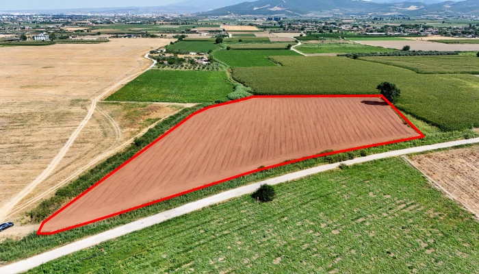 DJI_20250711102923_0049_D kopya.jpg