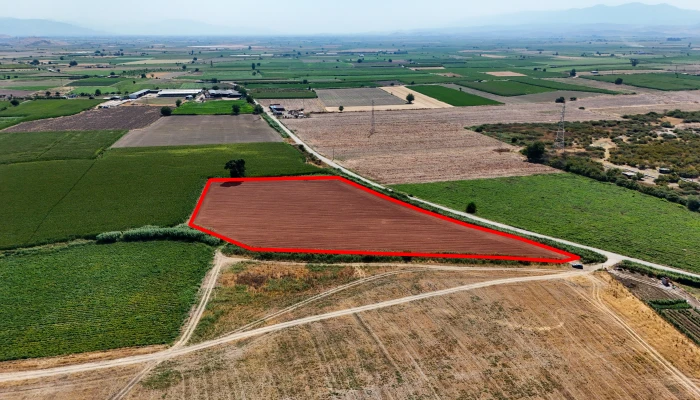 DJI_20250711103138_0063_D kopya.jpg