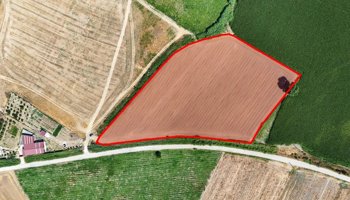 DJI_20250711103303_0068_D kopya.jpg