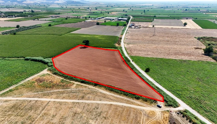 DJI_20250711103152_0065_D kopya.jpg