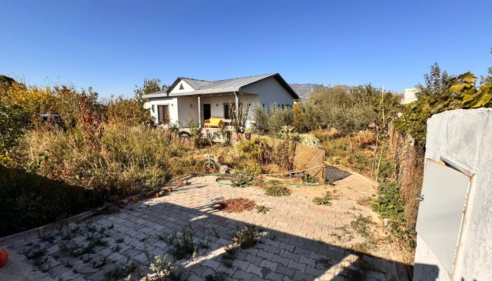 WhatsApp Görsel 2025-09-12 saat 17.40.15_4f9d1906.jpg