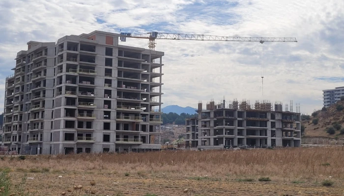 WhatsApp Image 2024-09-28 at 14.26.05.jpeg.jpg