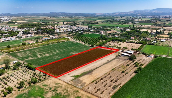 DJI_20250805113505_0274_D kopya.jpg