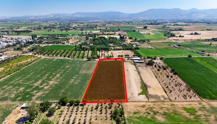 DJI_20250805113536_0276_D kopya.jpg