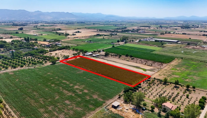 DJI_20250805113605_0278_D kopya-min.jpg