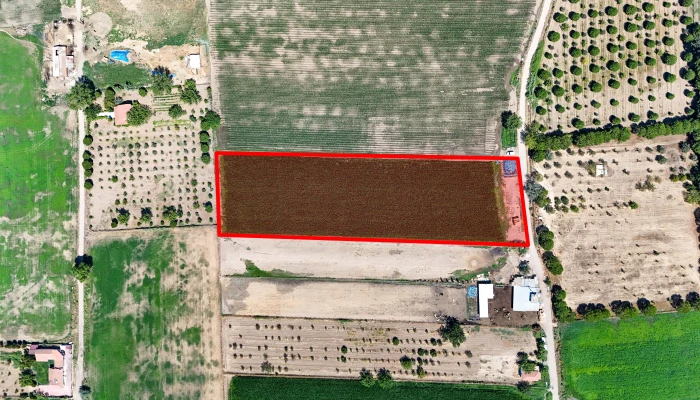 DJI_20250805113804_0284_D kopya-min.jpg