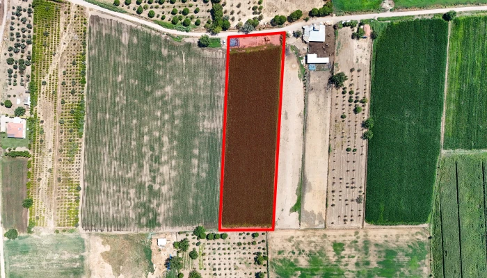 DJI_20250805113810_0285_D kopya-min.jpg