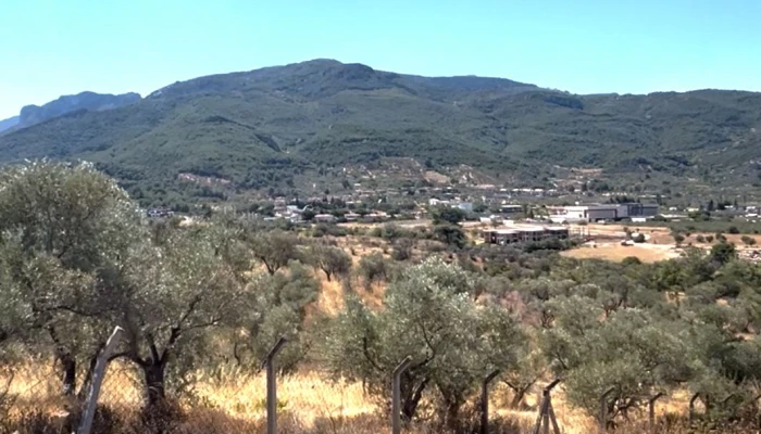 WhatsApp Image 2025-09-13 at 21.16.09.jpg