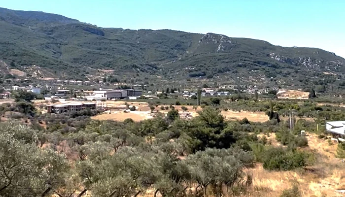 WhatsApp Image 2025-09-13 at 21.16.09 (1).jpg