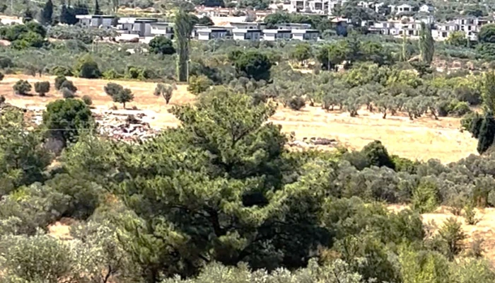 WhatsApp Image 2025-09-13 at 21.16.09 (2).jpg