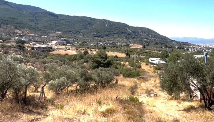 WhatsApp Image 2025-09-13 at 21.16.10.jpg