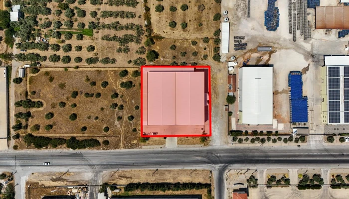 WhatsApp Image 2025-09-15 at 12.05.54-6.jpg