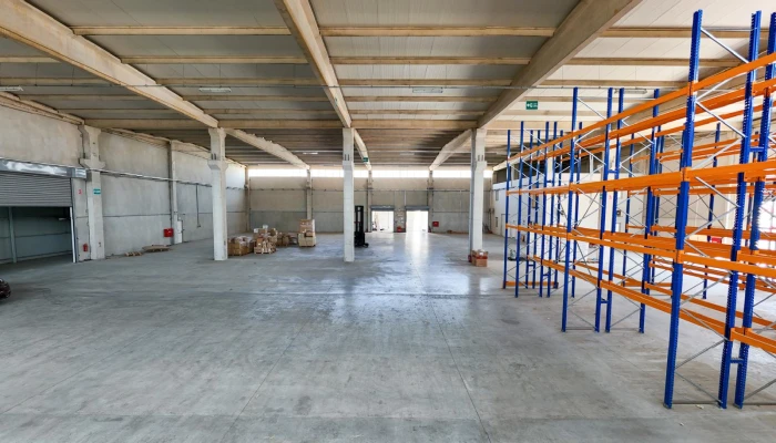 WhatsApp Image 2025-09-15 at 12.05.54-9.jpg