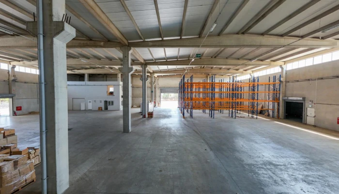 WhatsApp Image 2025-09-15 at 12.05.54-10.jpg