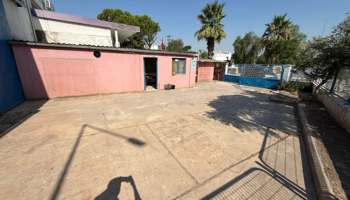 WhatsApp Image 2025-09-15 at 12.20.16.jpg