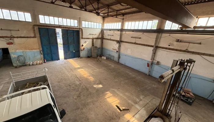 WhatsApp Image 2025-09-15 at 12.20.17.jpg