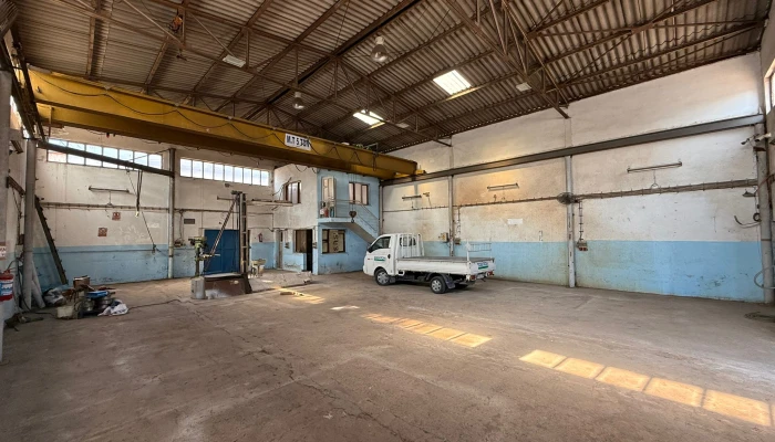 WhatsApp Image 2025-09-15 at 12.20.17-5.jpg