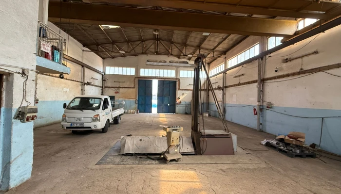 WhatsApp Image 2025-09-15 at 12.20.17-4.jpg