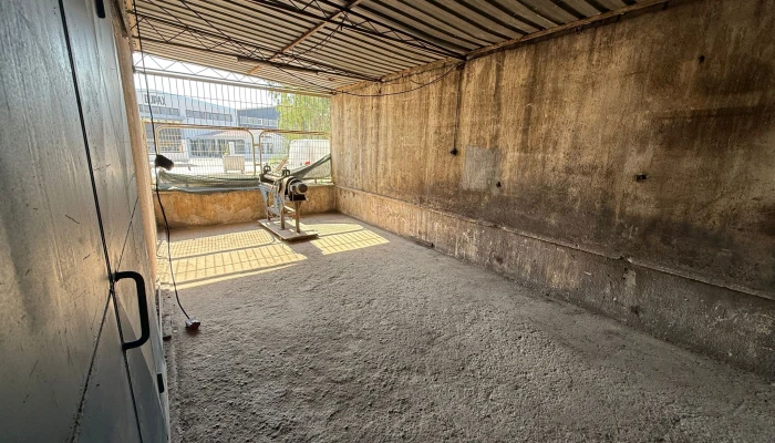 WhatsApp Image 2025-09-15 at 12.20.17-3.jpg