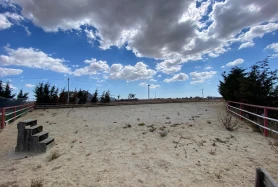 ÇORLU’DA DOĞA İÇİNDE AT ÇİFLİĞİ FIRSATI