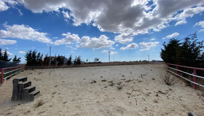 WhatsApp Image 2025-09-16 at 15.26.03 (1).jpg