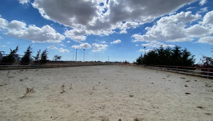 WhatsApp Image 2025-09-16 at 15.26.03.jpg