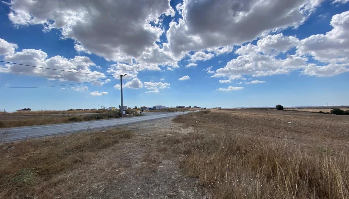 WhatsApp Image 2025-09-16 at 15.26.10.jpg