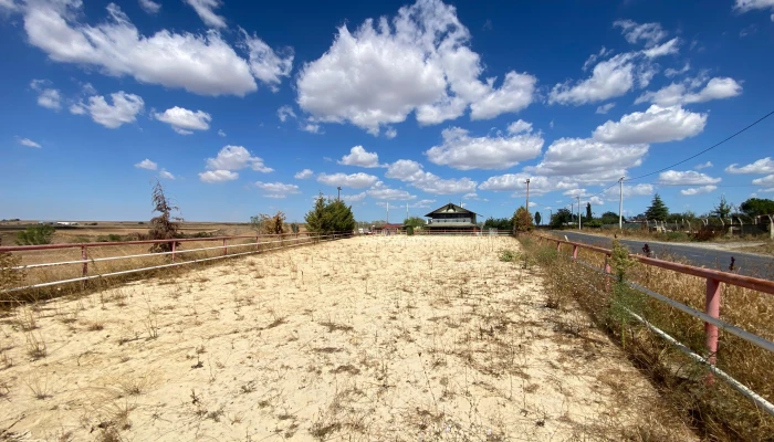 WhatsApp Image 2025-09-16 at 15.26.17 (1).jpg