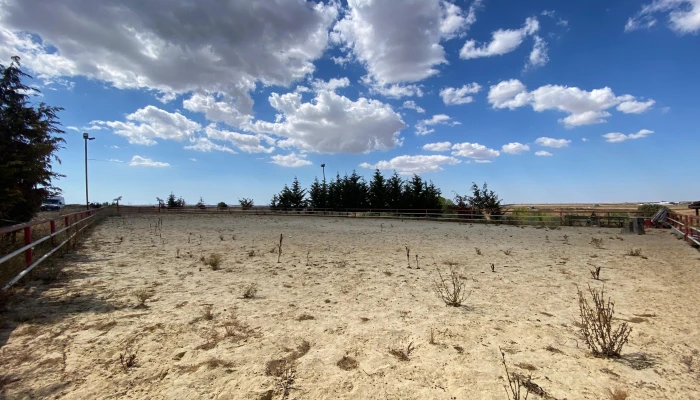 WhatsApp Image 2025-09-16 at 15.26.17 (3).jpg