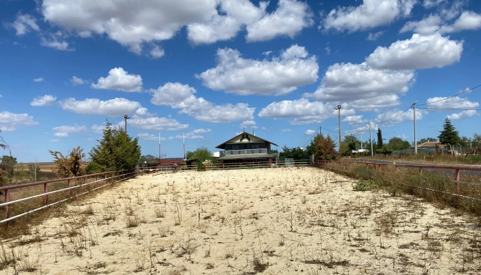 WhatsApp Image 2025-09-16 at 15.26.17.jpg