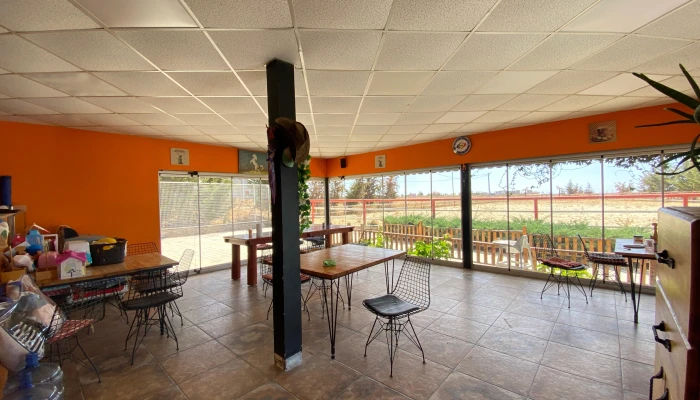 WhatsApp Image 2025-09-16 at 15.26.18 (2).jpg