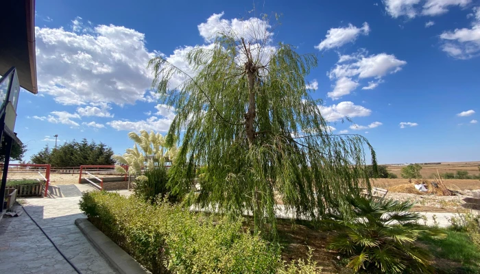 WhatsApp Image 2025-09-16 at 15.26.19 (1).jpg