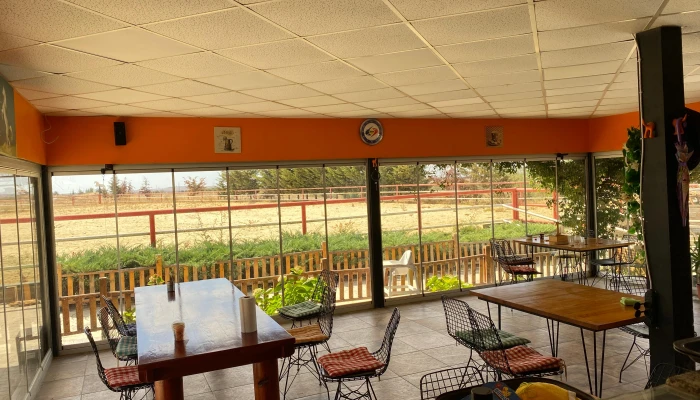 WhatsApp Image 2025-09-16 at 15.26.19.jpg