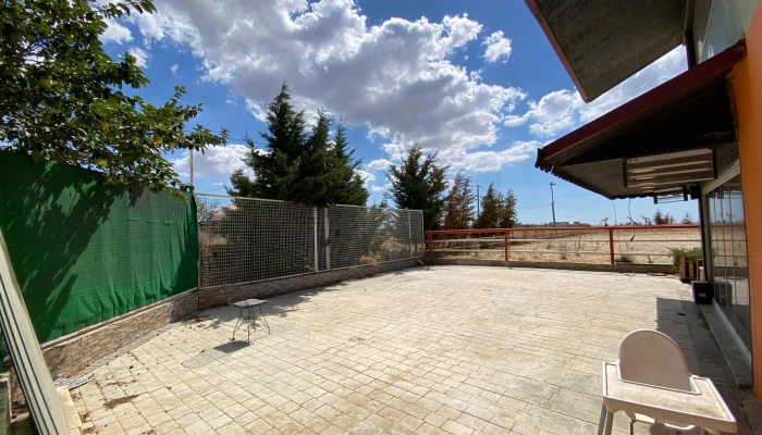 WhatsApp Image 2025-09-16 at 15.26.21 (1).jpg