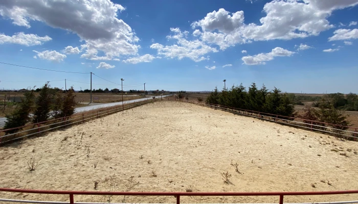 WhatsApp Image 2025-09-16 at 15.26.22 (3).jpg