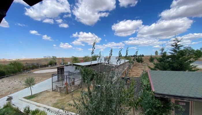 WhatsApp Image 2025-09-16 at 15.26.26.jpg