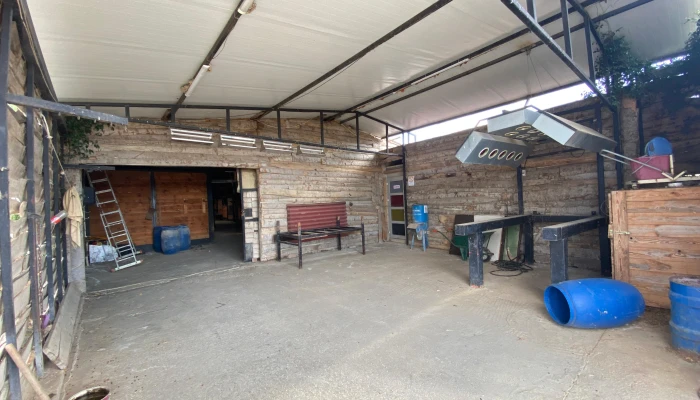 WhatsApp Image 2025-09-16 at 15.26.32.jpg