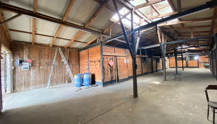 WhatsApp Image 2025-09-16 at 15.27.56.jpg