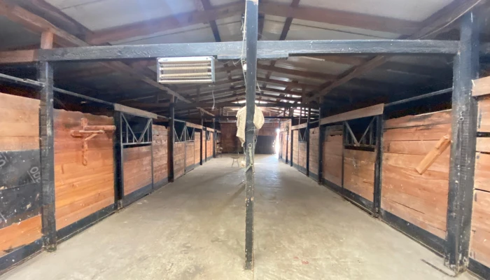 WhatsApp Image 2025-09-16 at 15.27.57 (1).jpg