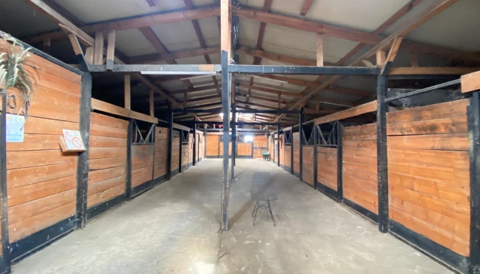 WhatsApp Image 2025-09-16 at 15.27.57.jpg