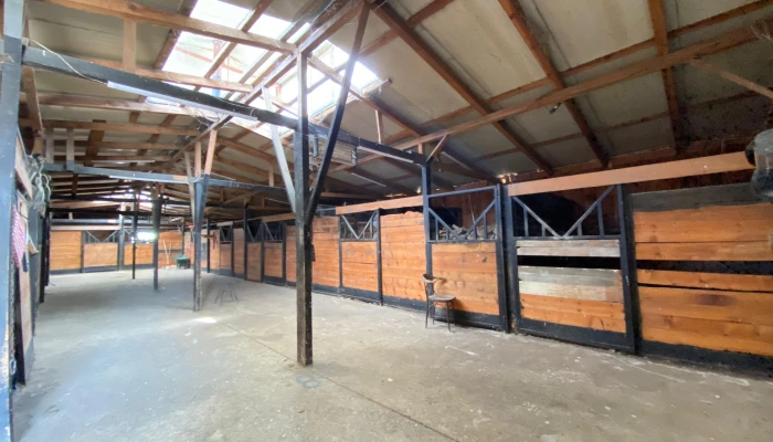 WhatsApp Image 2025-09-16 at 15.27.58 (1).jpg