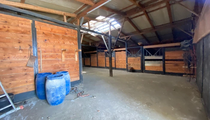 WhatsApp Image 2025-09-16 at 15.27.58 (2).jpg