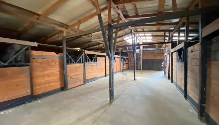 WhatsApp Image 2025-09-16 at 15.27.58.jpg