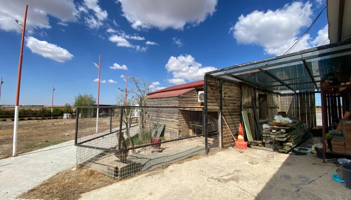 WhatsApp Image 2025-09-16 at 15.28.00.jpg