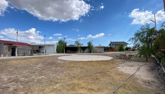 WhatsApp Image 2025-09-16 at 15.28.02.jpg