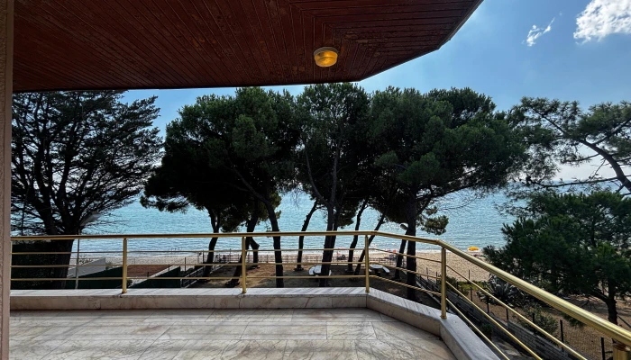 PHOTO-2025-09-09-18-09-48 3.jpg