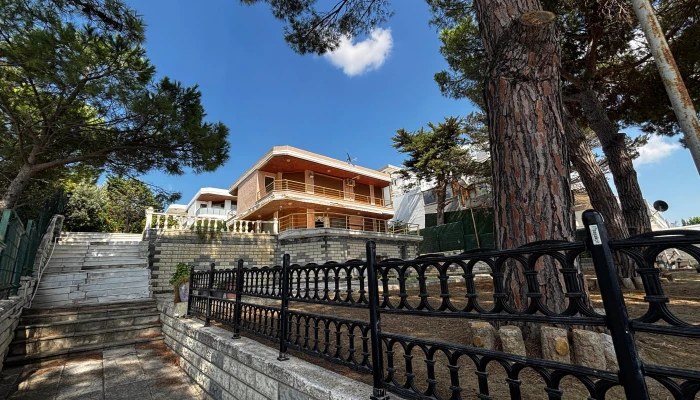 PHOTO-2025-09-09-18-17-22 2.jpg