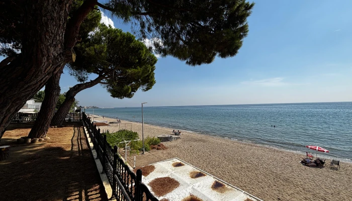 PHOTO-2025-09-09-18-17-22 3.jpg